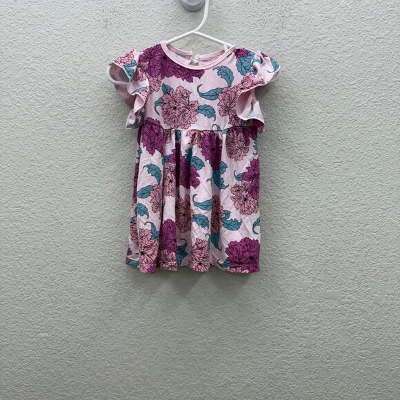 Kickee Pants Floral Flutter Sleeve Bamboo Dress Baby Girl size 12-18 Month - Picture 1 of 5